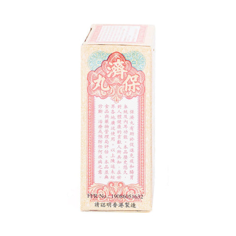 LI ZHONG SHENG TANG Po Chai Pills 0.67 Oz (18.9 g) - 李众胜堂 保济丸 - CoCo Island Mart