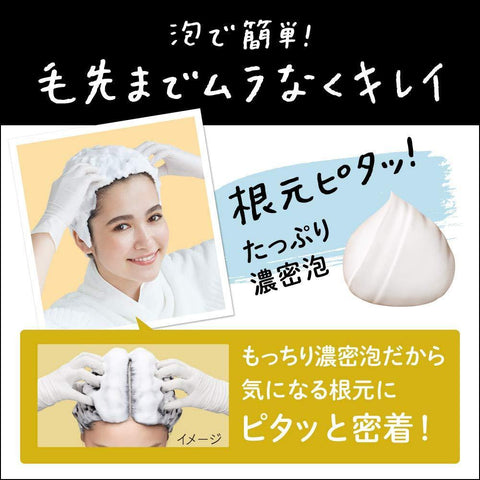 KAO-LIESE PRETTIA Hair Dye Natural Brown Color - CoCo Island Mart