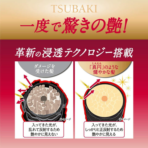 Shiseido Ft Tsubaki Premium Repair Hair Shampoo and Hair Conditioner Set 33.2 FL Oz (980 mL) - 日本SHISEIDO资生堂 TSUBAKI丝蓓绮 0秒沙龙美发 多重损伤修护洗发水和多重损伤修护发素 490ml+490ml 2020年新款 - CoCo Island Mart