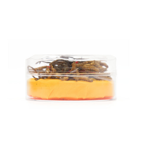 Cordyceps 8 Oz 冬蟲夏草