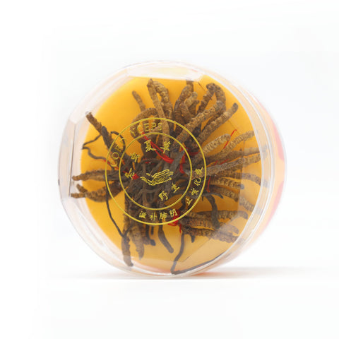 Cordyceps 8 Oz 冬蟲夏草