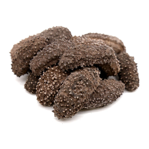 Dried Sea Cucumber 1 LB -南美腰参 13-16头