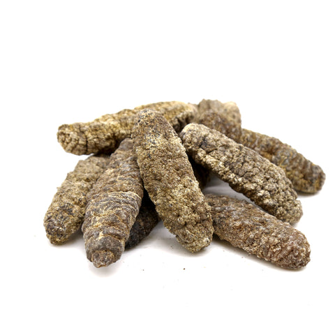 Mexico Dried Sea Cucumber 1 LB -荔枝参, 冰参