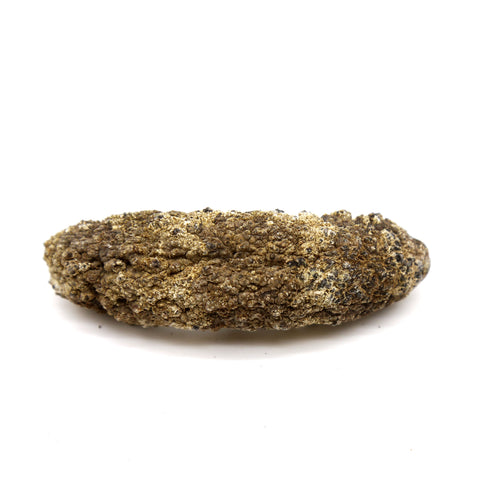 Mexico Dried Sea Cucumber 1 LB -荔枝参, 冰参