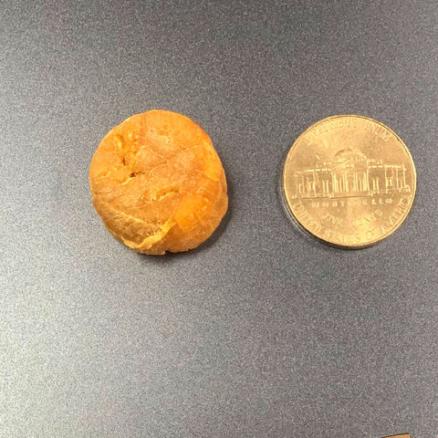 Japanese Dried Scallops 1LB - 日本瑤柱