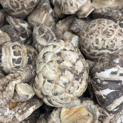 ShanYuan Dried White Mushroom 5 LBS (2.27 Kg)