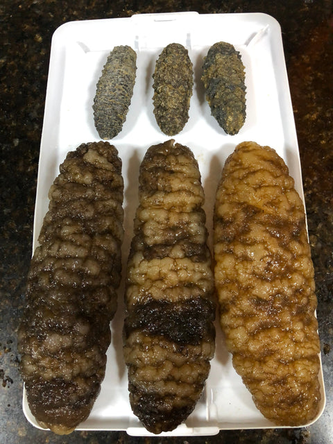 Mexico Dried Sea Cucumber 1 LB -荔枝参, 冰参