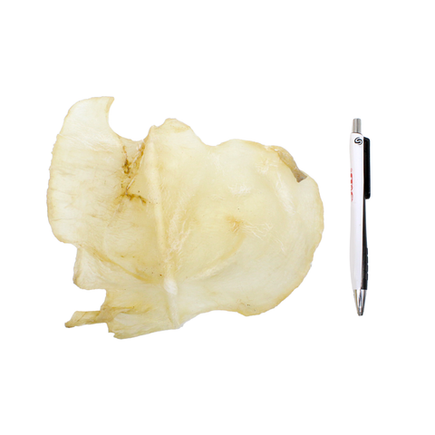 蝴蝶花胶 4-6 头 Dried Butterfly Fish Maw 4- 6 Count / 8 OZ