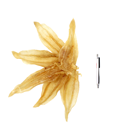 Yellow Dried Fish Maw, 8 Count 1 Lbs