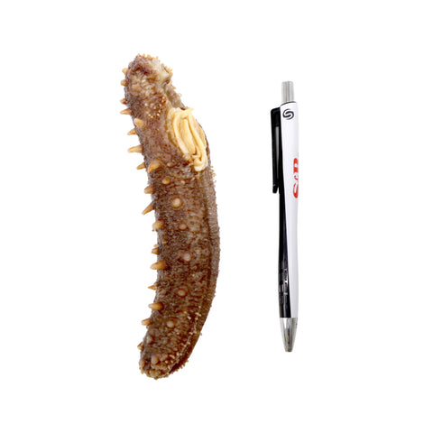 Wild Alaska Dried Sea Cucumber 1 LB Mix Size - 阿拉斯加红参