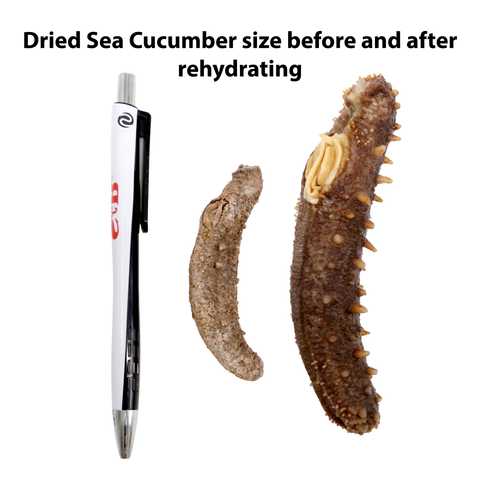 Wild Alaska Dried Sea Cucumber 1 LB Mix Size - 阿拉斯加红参