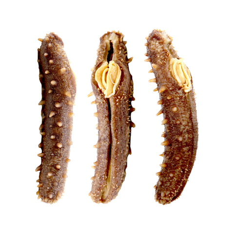 Wild Alaska Dried Sea Cucumber 1 LB Mix Size  - 阿拉斯加红参